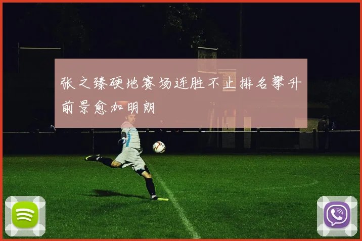 张之臻硬地赛场连胜不止排名攀升前景愈加明朗